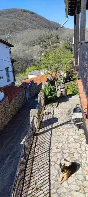 Hostal Montemayor Montemayor del Rio Bagian luar foto